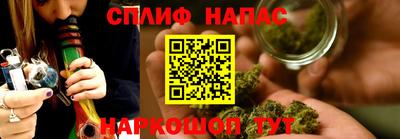 соль ск Новозыбков