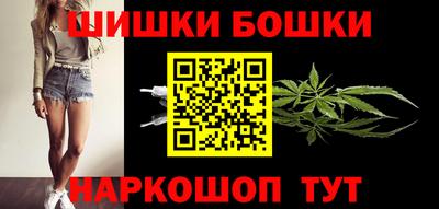 соль ск Новозыбков
